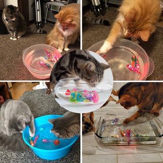 Meraldo™ FishPlay – Interactieve zwemvisjes voor katten