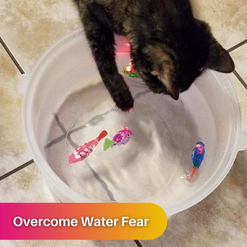 Meraldo™ FishPlay – Interactieve zwemvisjes voor katten